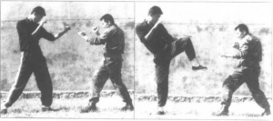 图片36