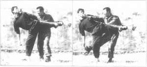 图片38