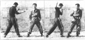 图片40