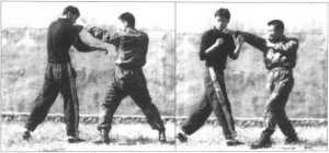 图片45