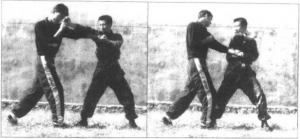 图片50