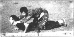 图片58