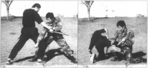 图片63