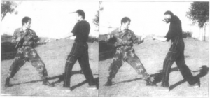 图片100