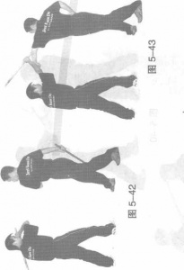 图片19