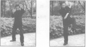 图片44