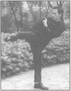 图片45