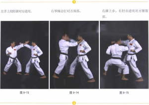 图片26