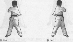 图片15