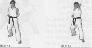 图片100