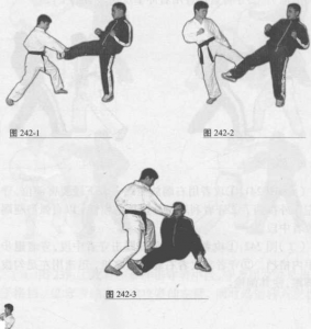 图片14