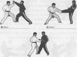 图片17