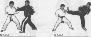 图片19