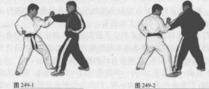 图片23