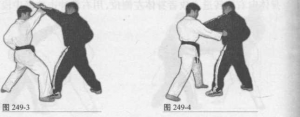图片24