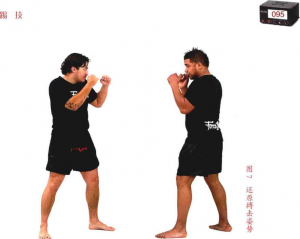 图片121