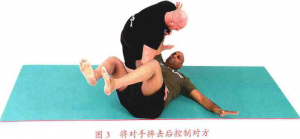 图片49