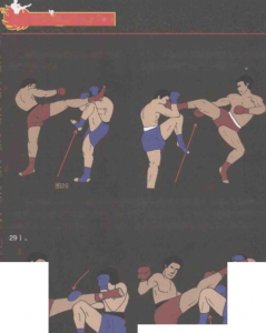 图片23