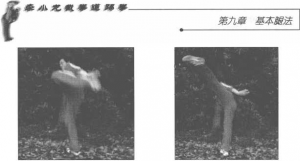图片11
