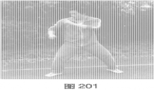图片12