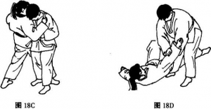图片33