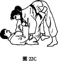 图片46
