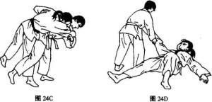 图片52