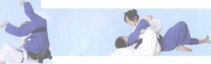 图片19