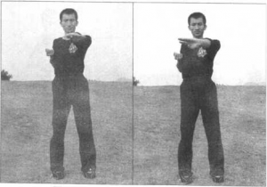 图片8