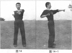 图片7
