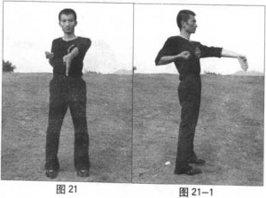 图片12