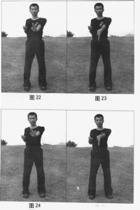 图片13