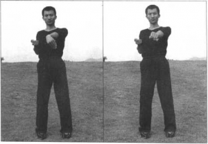 图片15