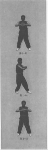 图片13