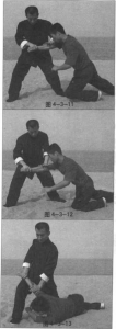 图片117