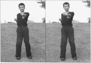 图片49