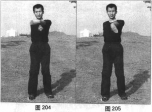 图片65