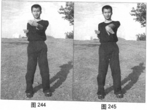 图片85