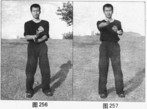 图片91