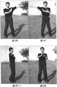 图片95
