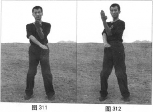 图片118