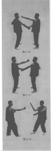 图片146