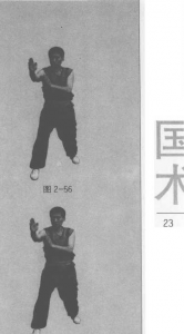 图片157