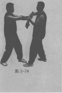 图片181