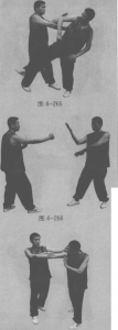 图片44