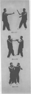 图片50