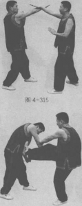 图片66
