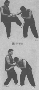图片88