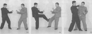 图片49