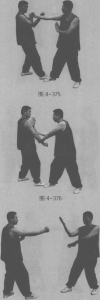 图片101